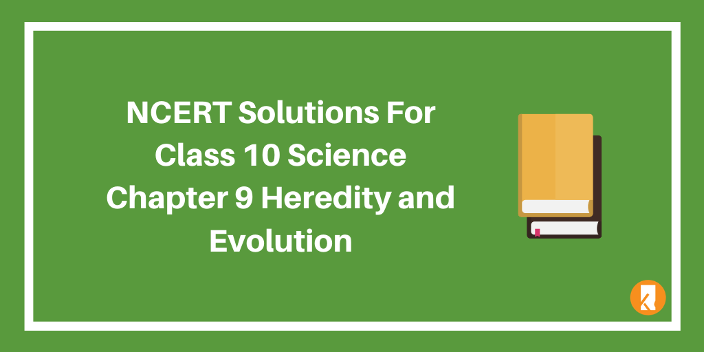 NCERT Solutions For Class 10 Science Chapter 9 Heredity and Evolution