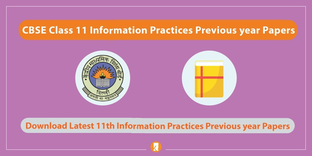 CBSE Class 11 Information Practices Previous Year Papers 2023