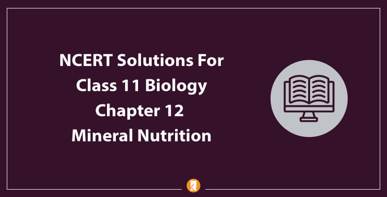 Class 11 NCERT Solutions For Biology Chapter 12 – Mineral Nutrition