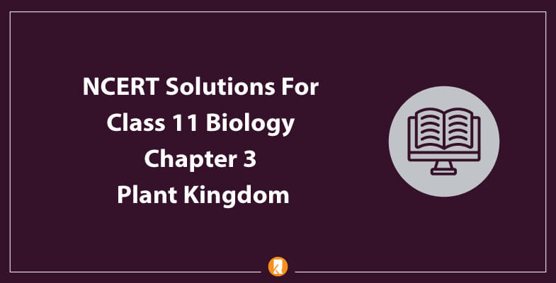 NCERT Solutions for Class 11 Biology Chapter 3 – Plant Kingdom