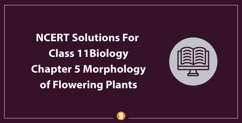 NCERT Solutions For Class 11 Biology Chapter 5 | Download Free PDF NCERT Solutions For Class 11 Biology Chapter 5 | Download Free PDF