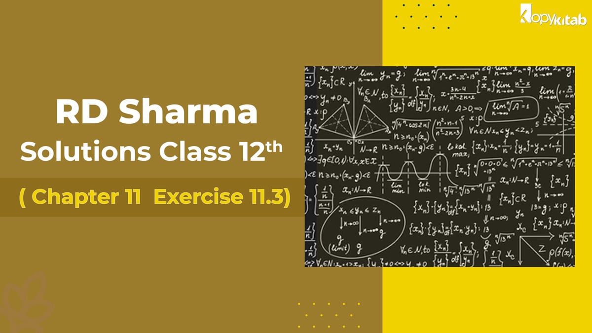 RD Sharma Class 12 Solutions Chapter 11 Exercise 11.3 (Updated for 2024)