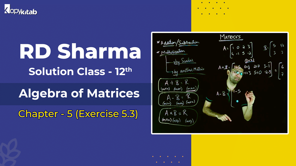 RD Sharma Solutions Class 12 Maths Chapter 5 Exercise 5.3