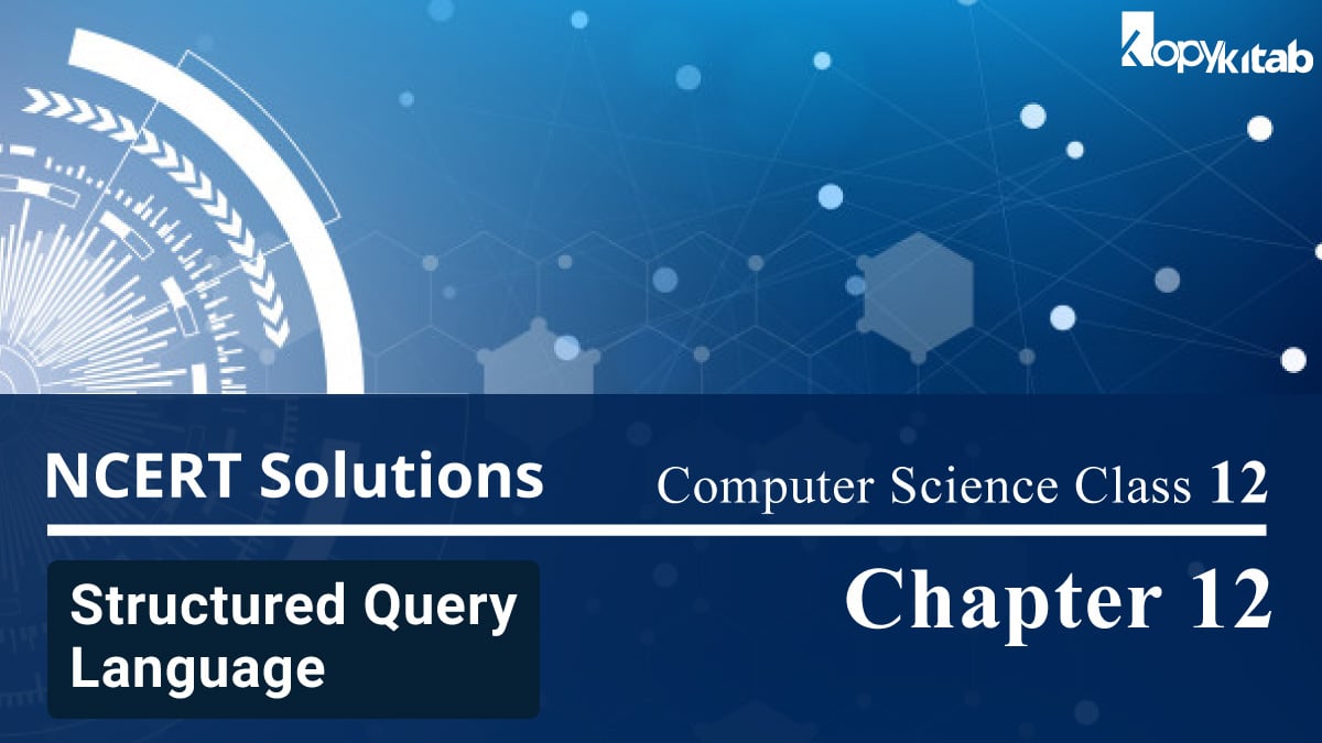 NCERT Solutions for Class 12 Computer Science Chapter 12