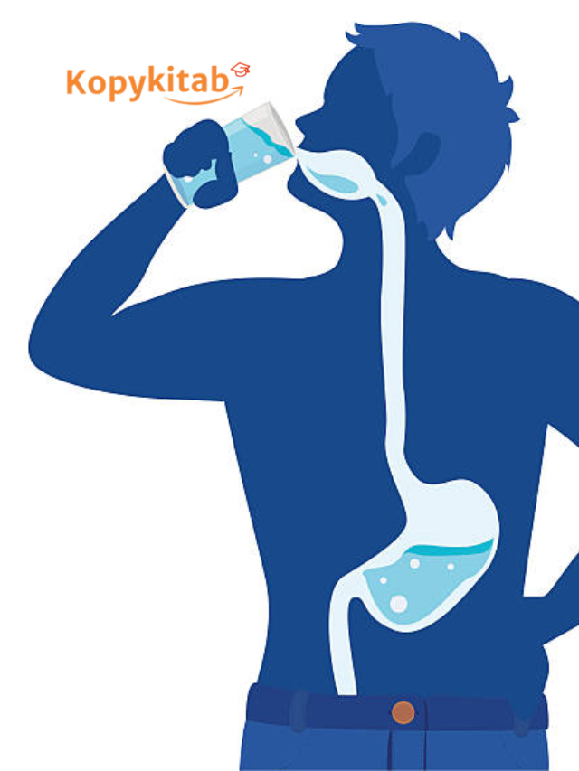 8 Amazing Facts About the Human Body