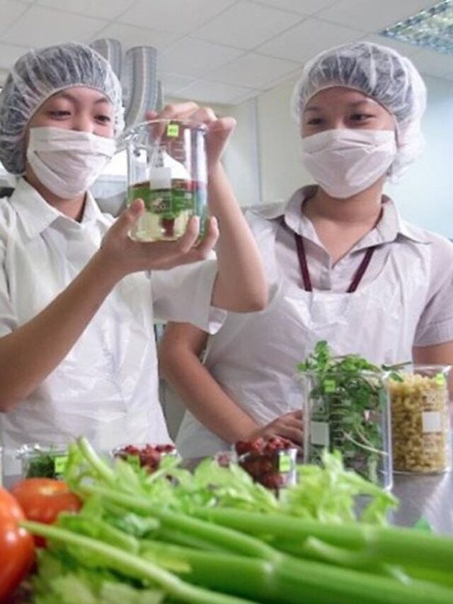 Career Opportunities In The Hospitality Industry