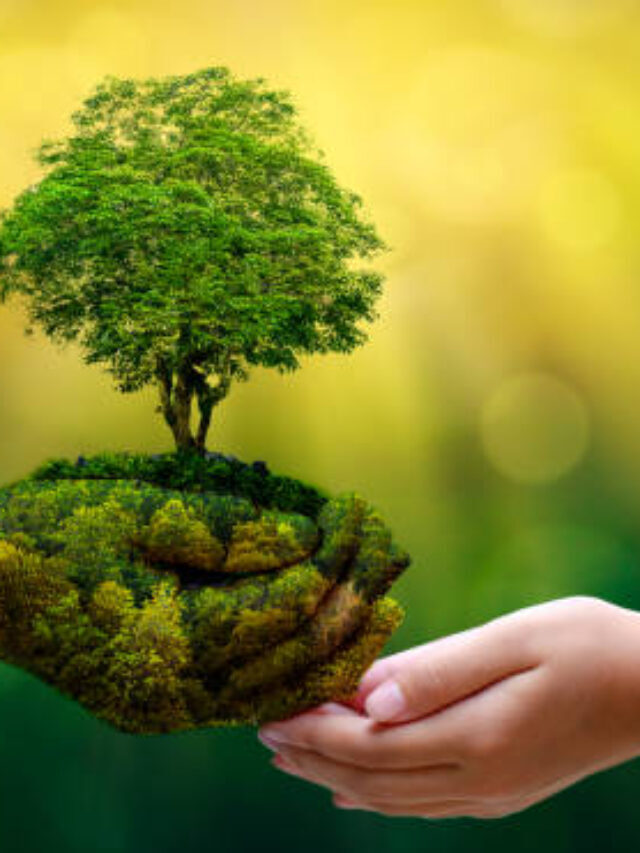 Private Agriculture Colleges in India