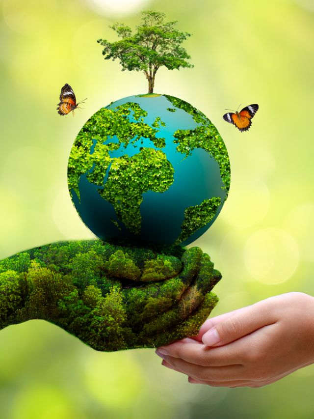 cropped-world-environment.png