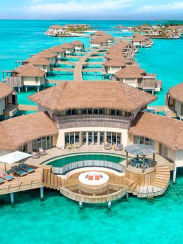 Top 7 Wonders from the Underwater World